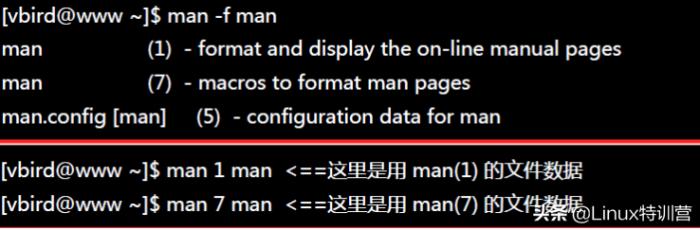 「linux」linux常用基本命令